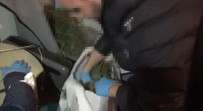 Büyükada'da Uyusturucu Operasyonu Açiklamasi 1 Süpheli Yakalandi