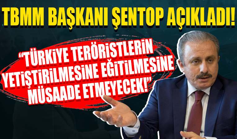 TBMM Başkanı Şentop: Türkiye teröristlerin yetişririlmesine, eğitilmesine müsaade etmeyecek!