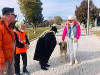 Tugba Özay Konya'daki Hayvan Barinagini Gezdi