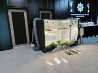 Dairelerine Düzenek Kurup Uyusturucu Yetistiren Zehir Tacirlerine Operasyon Açiklamasi 138 Gözalti