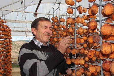 (ÖZEL) Kurutmaya Biraktiklari Cennet Hurmalarina Adeta Çocuk Gibi Bakiyorlar