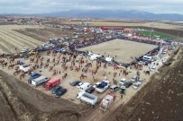 Pehlivan Develer, 50 Yil Sonra Tavas Arenasinda Boy Gösterdi