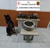 Uyusturucuyu Cam Kavanoz Ve Plastik Bidonlarda Saklamislar