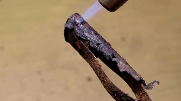 Toprağın altından çıkardı: Milyonlarca kişi bu anı izledi değerine paha biçilemiyor