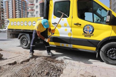 4 Koldan 'Onarim', Daha Güzel Talas