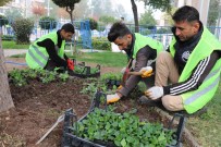 Batman'da Cadde Ve Refüjler Çiçeklerle Süslendi