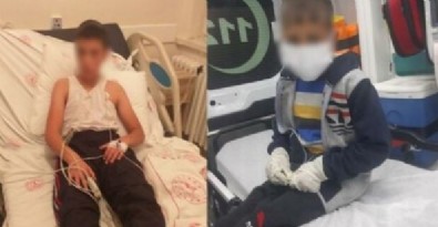 Bitlis'te köpeğin ısırdığı 2 çocuktan biri kuduz oldu! 'Sudan korkuyor, hırçın davranıyor'