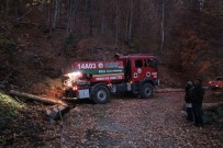 Bolu'da Orman Yangininda 1,5 Hektarlik Alan Zarar Gördü