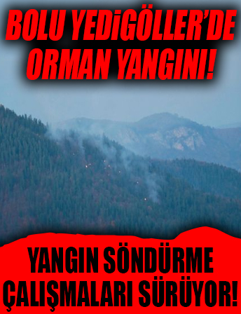 Bolu Yedigöller Milli Parkı'nda orman yangını!
