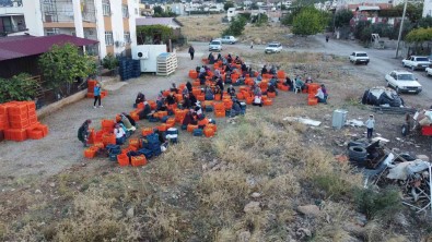 Bu Meyvenin Kurusu Yasindan 10 Kat Pahaliya Satiliyor