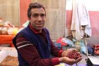 Daglardan Gelen Sifa Kaynagi Kusburnuna Ragbet Artti