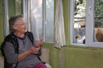 Eyüpsultan'da Bakima Muhtaç Insanlarin Evleri, Belediye Tarafindan Temizleniyor