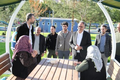 Eyyübiye Yesille Dönüsüyor