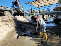 Kemer'de Kis Hazirliklari Basladi