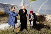 Paraguay Büyükelçisi'nden Kastamonu'da Tibbi Aromatik Bitkiler Üzerinde Inceleme