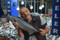 Sinop'ta 5-7 Kilogram Arasi Torikler 700 TL