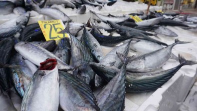 Tavuk Etinden Bile Ucuz, Fiyatini Duyan Solugu Balikçilarda Aldi