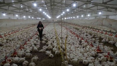 Temizlikçilikten Patronluga Uzanan Basari Hikayesi