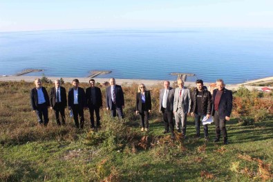 Türkeli'ye Yeni Yüksekokulu Yerleskesi Arayisi