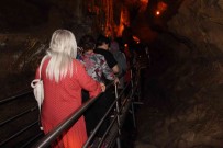 Ziyaretçi Sayisi Her Yil Artiyor