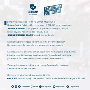 Bandirma'da Bir Mahalle Kuduz Süphesi Nedeniyle Karantinaya Alindi