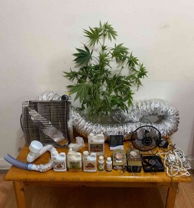 Evin Odasinda Uyusturucu Yetistiren Sahis Gözaltina Alindi