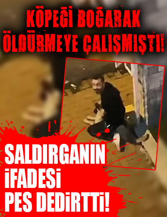 Köpeği boğarak öldürmeye çalıştı! Saldırganın ifadesi pes dedirtti!