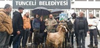Köylüler Belediye Önüne Esek, Keçi Ve Arilar Ile Gelip Tepki Gösterdi