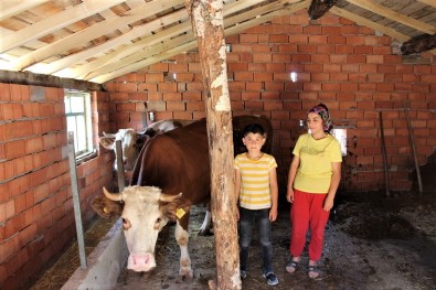 Kütahya'da Orman Köylüsüne 14 Milyon TL Kredi Destegi