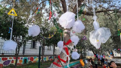 Okul Bahçesindeki Zeytin Agaçlarinin Hasadi Yapilip Yagi Çikarildi