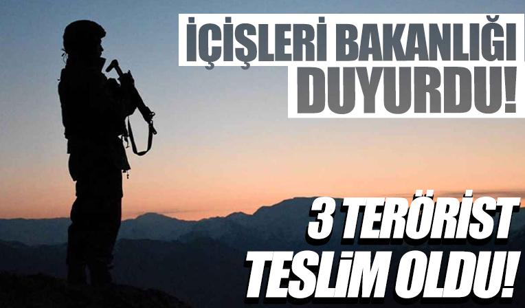 Operasyon öncesi PKK'da çözülme: 3 terörist daha ikna ile teslim oldu