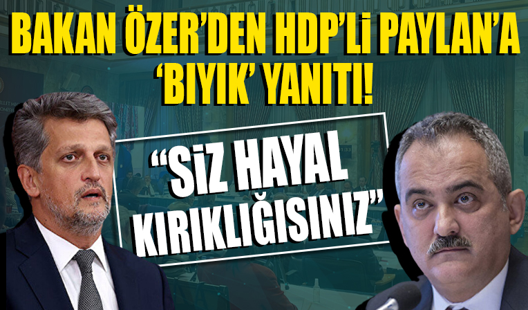Bakan Özer'den HDP'li Paylan'a 'bıyık' yanıtı: Siz hayal kırıklığısınız