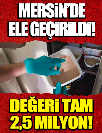 Piyasa değeri 2,5 milyon lira: Mersin'de ele geçirildi