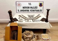 Piyasa değeri 2,5 milyon lira: Mersin'de ele geçirildi