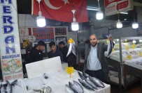 Balik Tezgahlarinda Palamut Bollugu