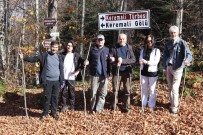 Sakarya Basini Zirveye Çikti