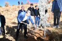 5 Bin Fidan Toprakla Bulustu