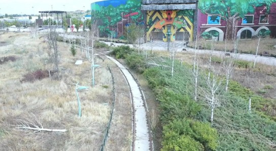 Ankapark’taki ağaçlar bakımsızlıktan çürüdü: Mansur Yavaş 3 bin ağacı kesecek