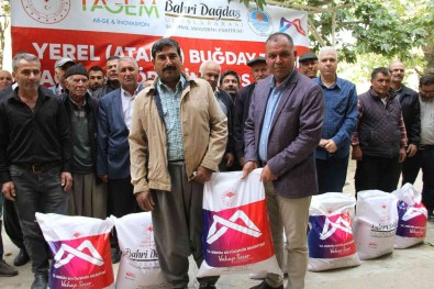 Mersin'de 12 Mahallede Yerel Bugday Üretilecek