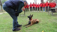 Arama Kurtarma Köpekleriyle Uygulamali Egitim Veren Tek Üniversitede Gelecegin Köpek Egitmenleri Yetisiyor