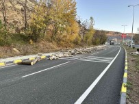 Arizalan Traktörünü Kaldirima Sürerek Durdurabildi, Tomruklar Yola Saçildi