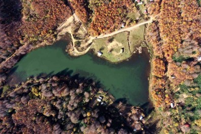 Göz Kamastiran Görüntüler