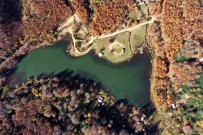 Göz Kamastiran Görüntüler