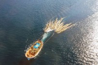 Karadan Ulasim Yok, Tomruklar Denizden Tasindi