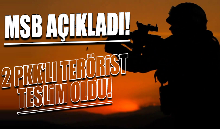 MSB duyurdu: 2 PKK'lı terörist teslim oldu!
