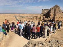 Roma'nin Son Garnizonuna 350 Bin Ziyaret, Çalismalarla Hedef 1 Milyon