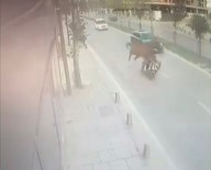 Sancaktepe'de Yola Çikan Basibos Ata Motosiklet Çarpti