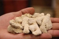 Uzmanindan Mide Ve Sindirim Dostu Zencefilin Kullanim Sekli Uyarisi
