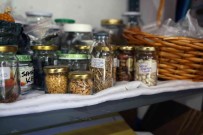 'Yerel Tohum Sokagi' Filiz Vermeye Basladi