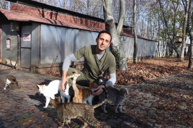 Bin 500 Kedi-Köpek Burada Bariniyor